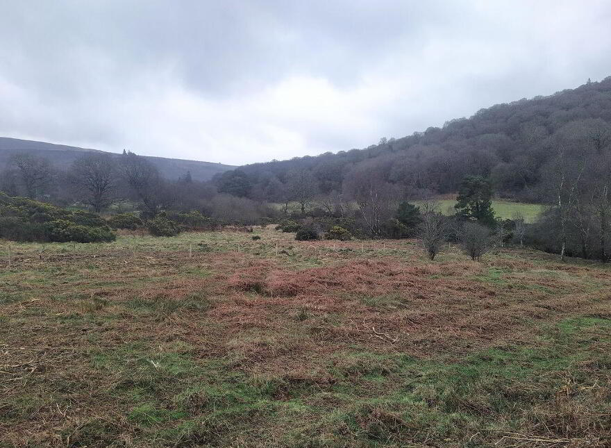 1 Acre Residential Site, Brockagh, Glendalough