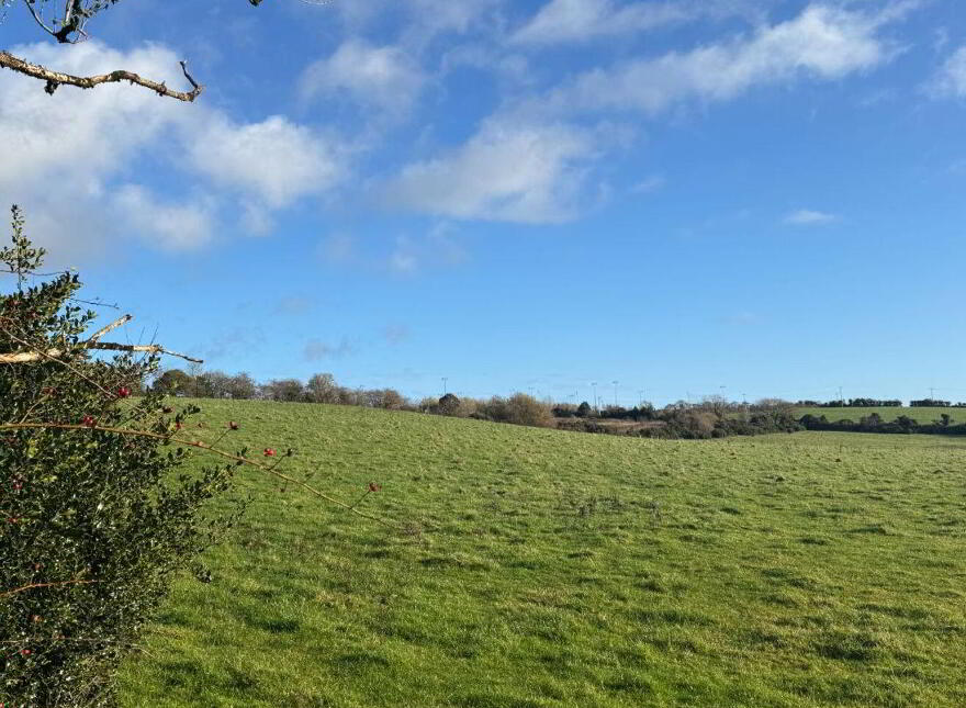 Site, No 2 Ballinakill, Rathdrum