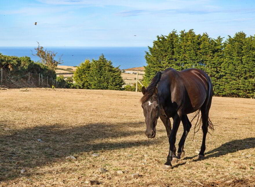 Dunbur Upper, Wicklow Town, A67EK82