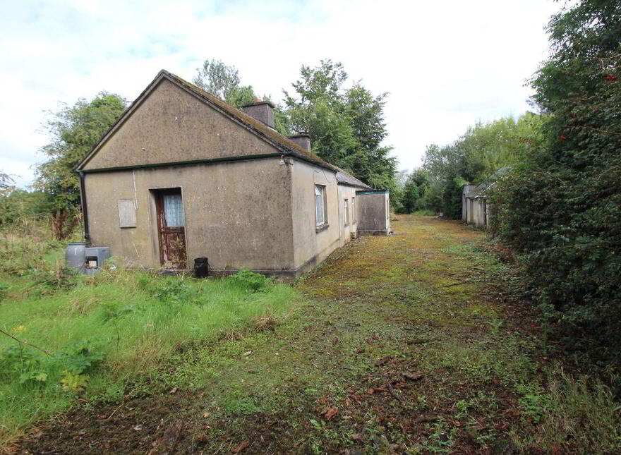Knockahaw, Longford Town, N39D5D6