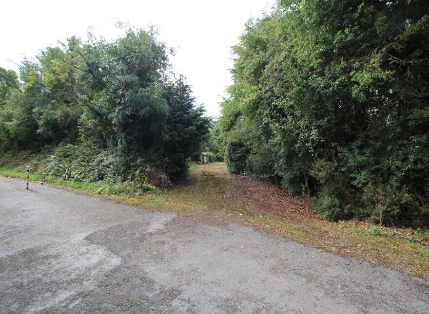 Knockahaw, Longford Town, N39D5D6