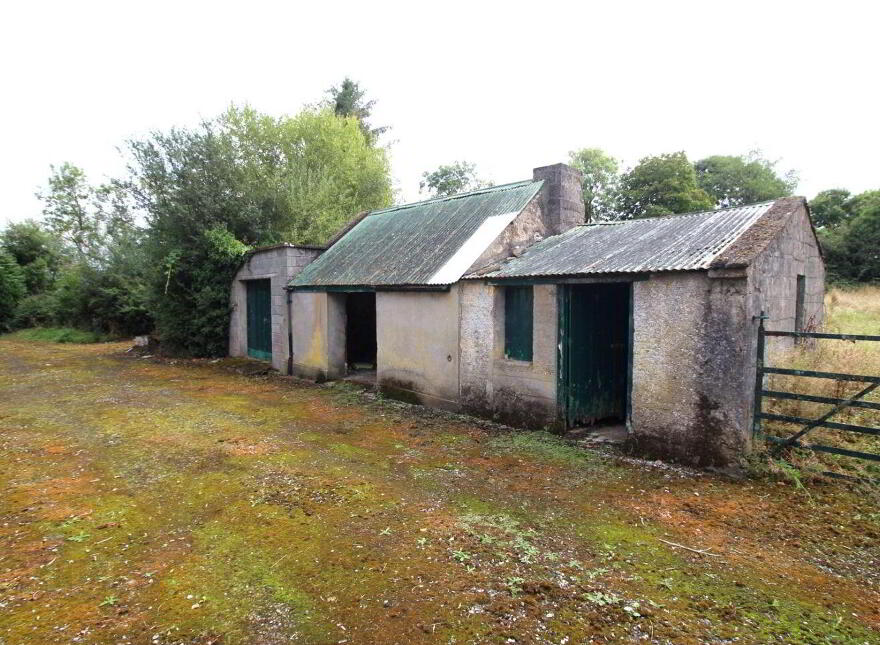 Knockahaw, Longford Town, N39D5D6