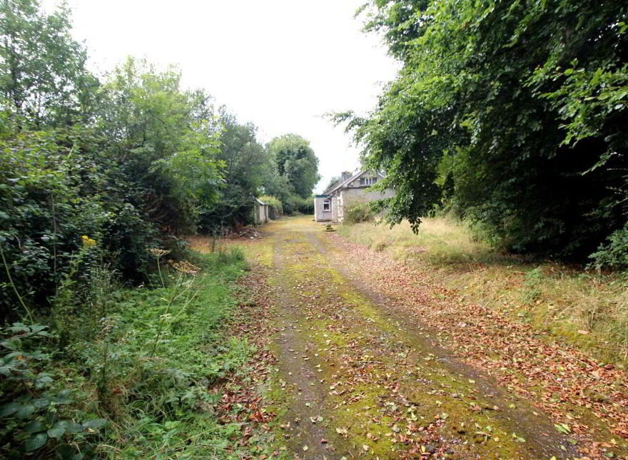 Knockahaw, Longford Town, N39D5D6