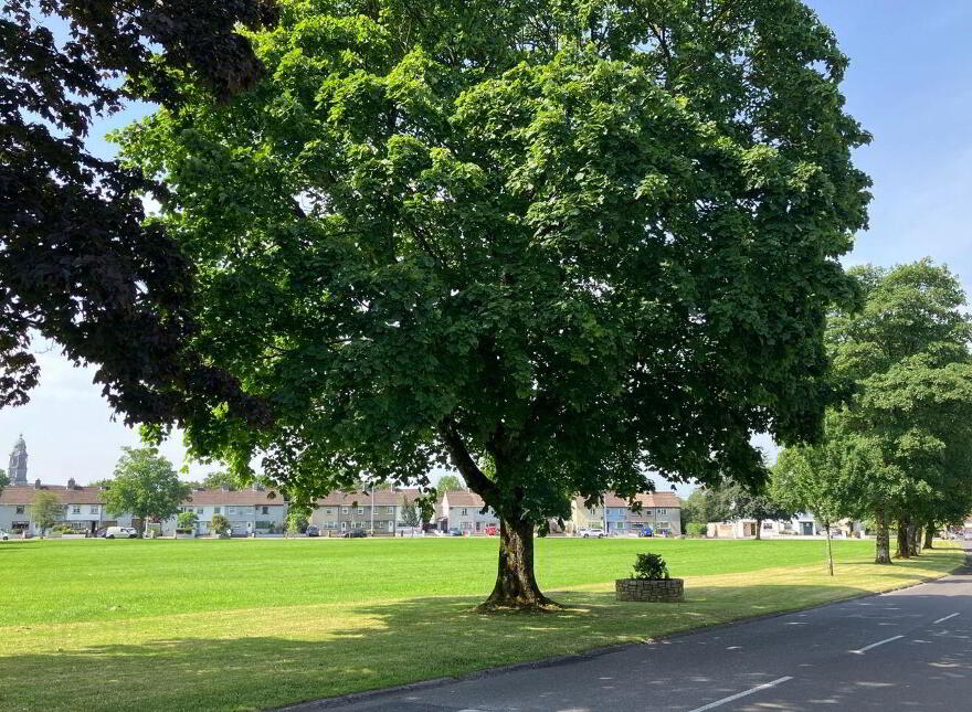 75 Teffia Park, Dublin Road, Longford Town, N39H6F5