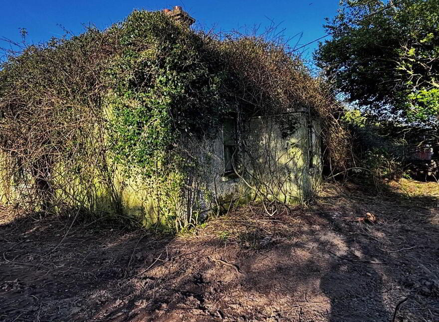 Trabolgan, Whitegate, Midleton