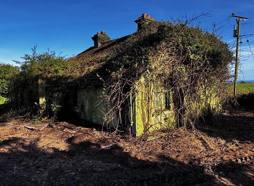 Trabolgan, Whitegate, Midleton