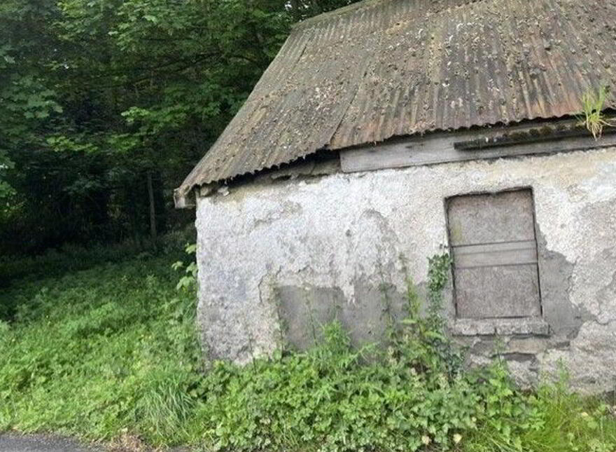 Tree Rock, Knockshangan, Athboy, C15N2Y4