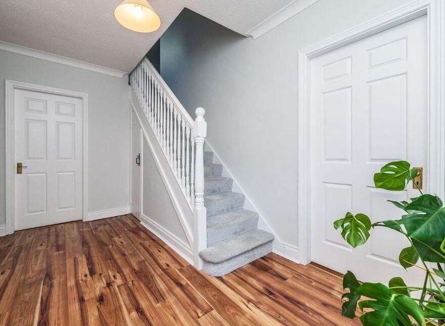 Sherlockstown, Sallins, W91R5P8