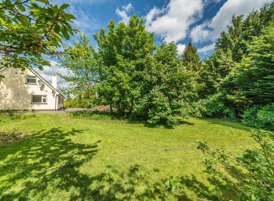 Sherlockstown, Sallins, W91R5P8