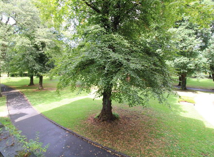 Apartment 205 Lord Edward Street, Limerick, V94RC93