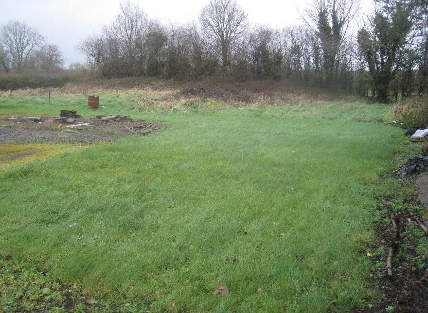 Joanstown, Rathaspick, Rathaspick, N91K586