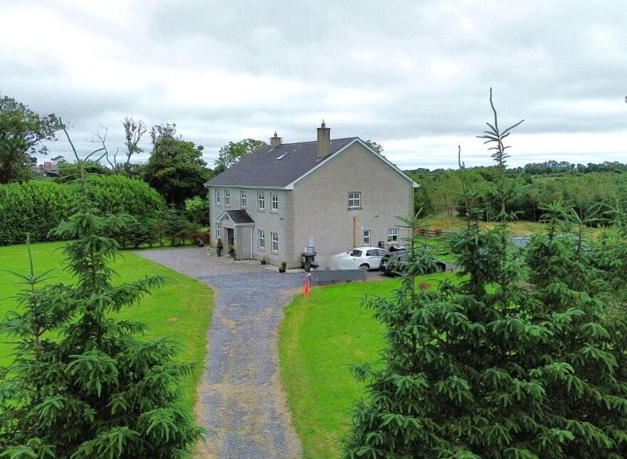 Lackan, Edgeworthstown, N39XT44