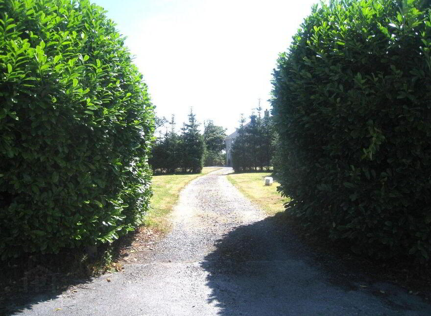Lackan, Edgeworthstown, N39XT44