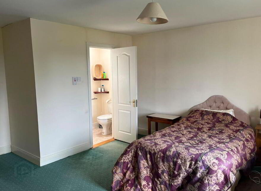 Upper Main Street, Banagher, R42DP44