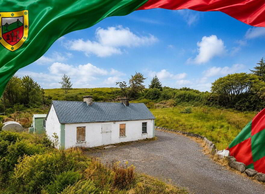 Derreen Belgarrow, Foxford photo