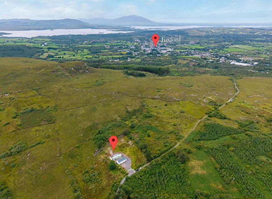 Derreen Belgarrow, Foxford