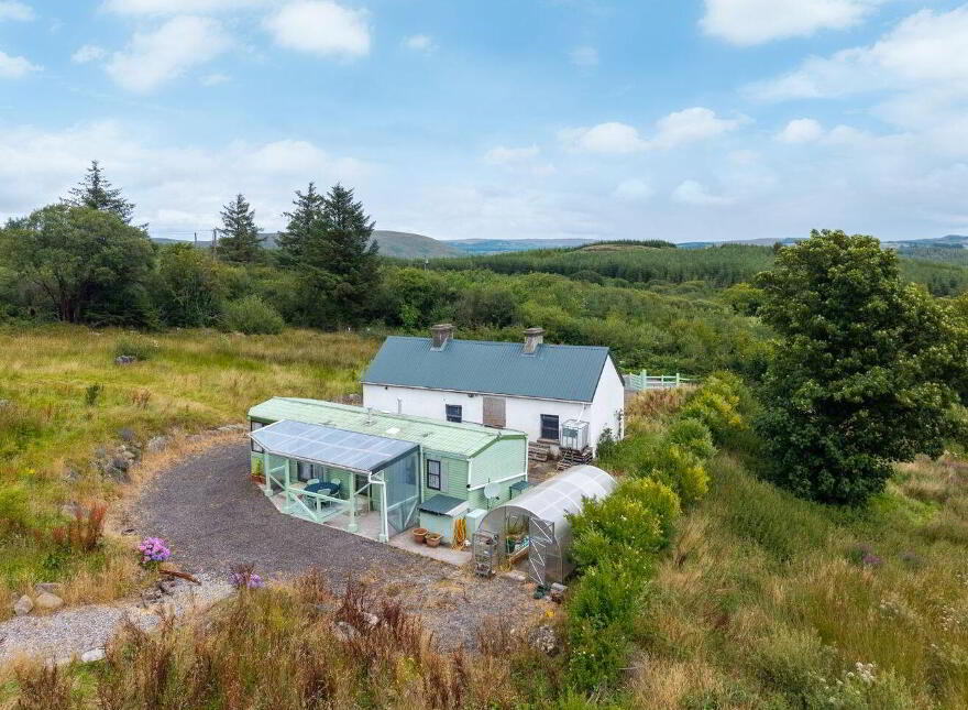 Derreen Belgarrow, Foxford