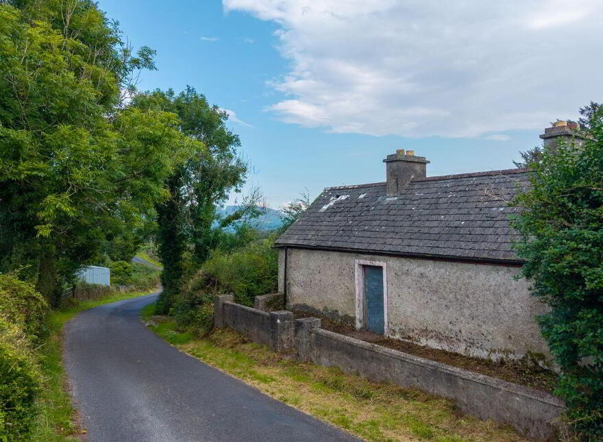 Shraheen, Foxford