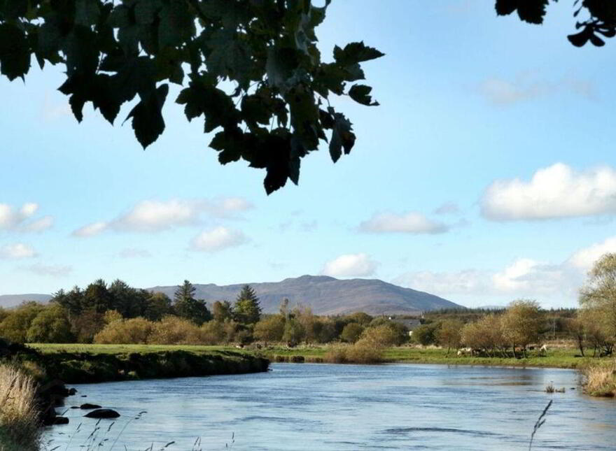 Belgarrow, Foxford, F26PX95