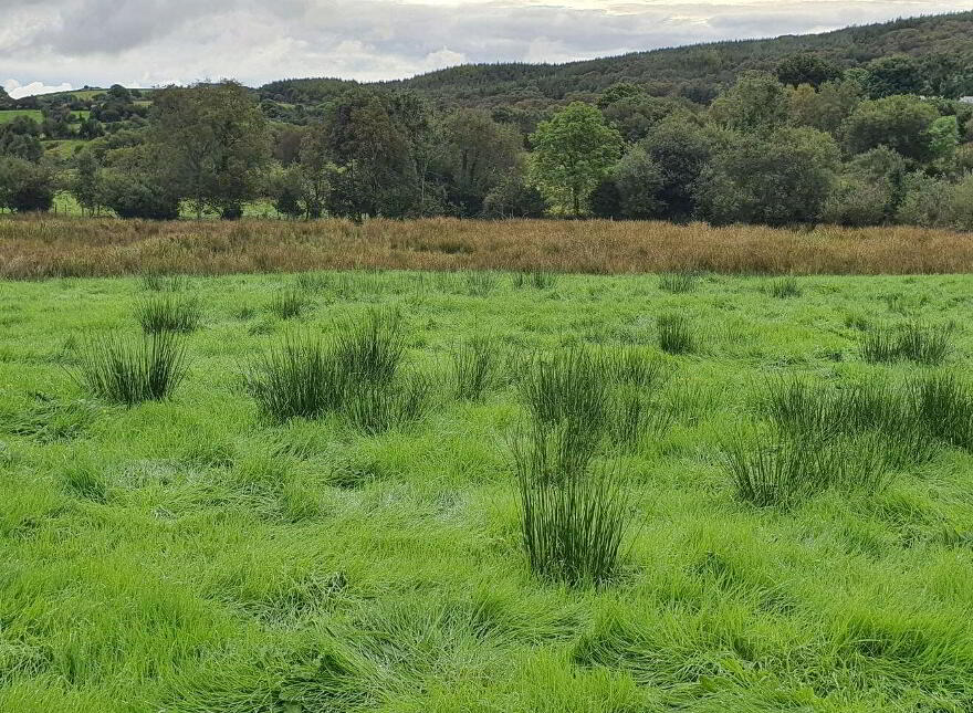 Knappagh, Westport