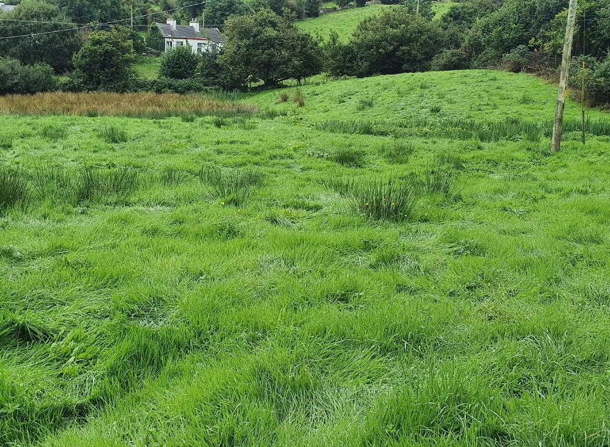 Knappagh, Westport
