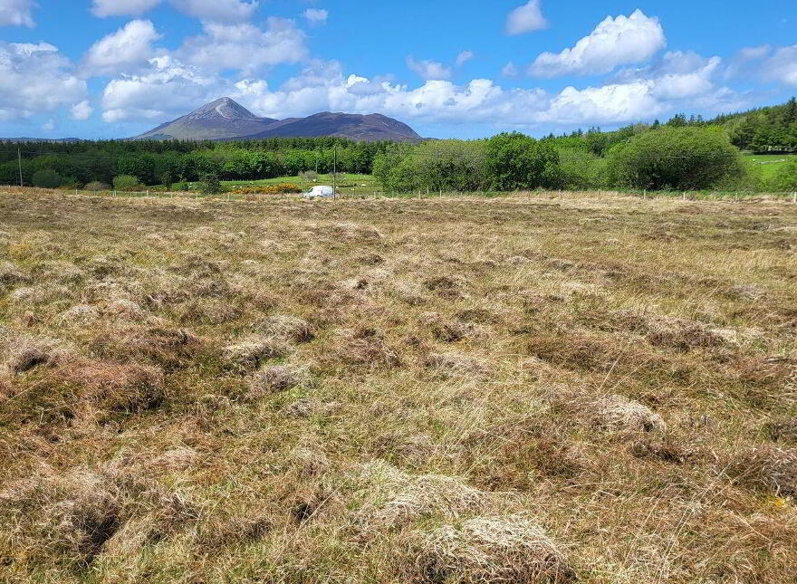 Liscarney, Westport