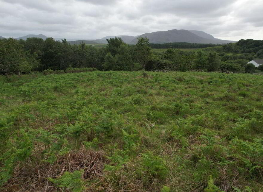 Claddy, Liscarney, Westport
