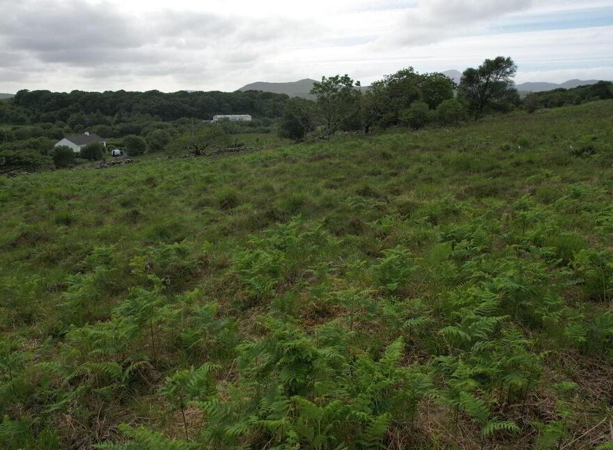 Claddy, Liscarney, Westport