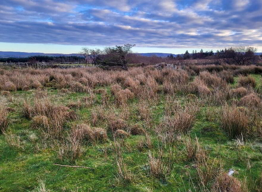 Owenwee, Westport
