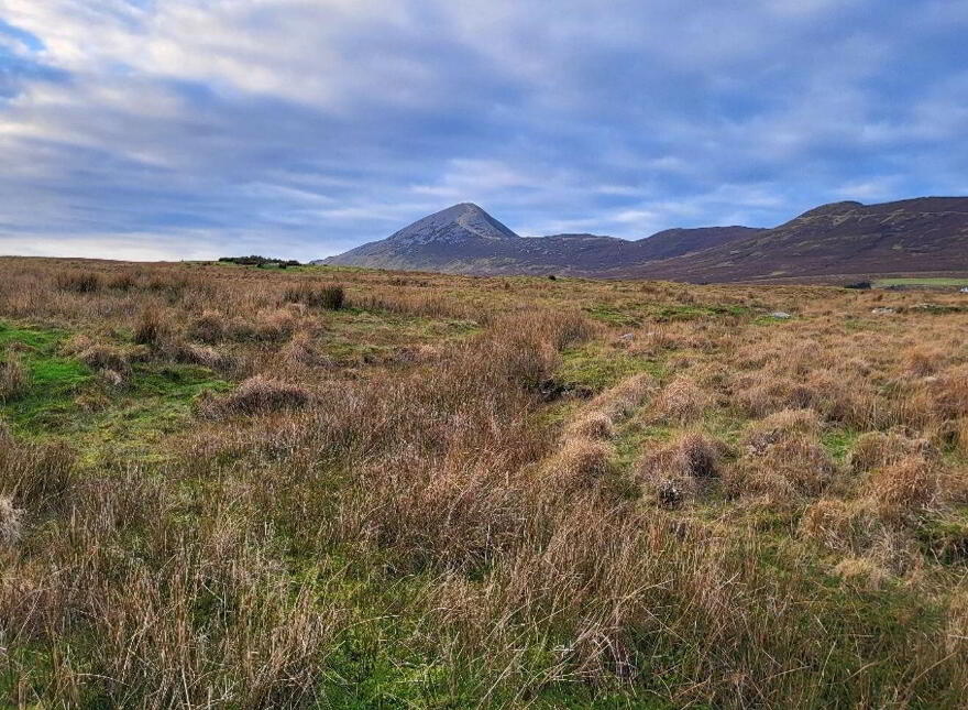 Owenwee, Westport