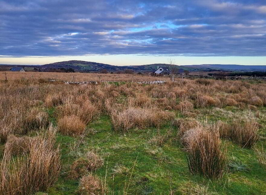 Owenwee, Westport