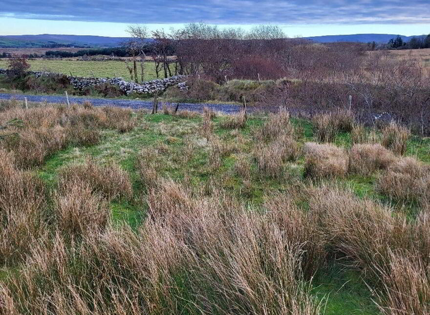 Owenwee, Westport