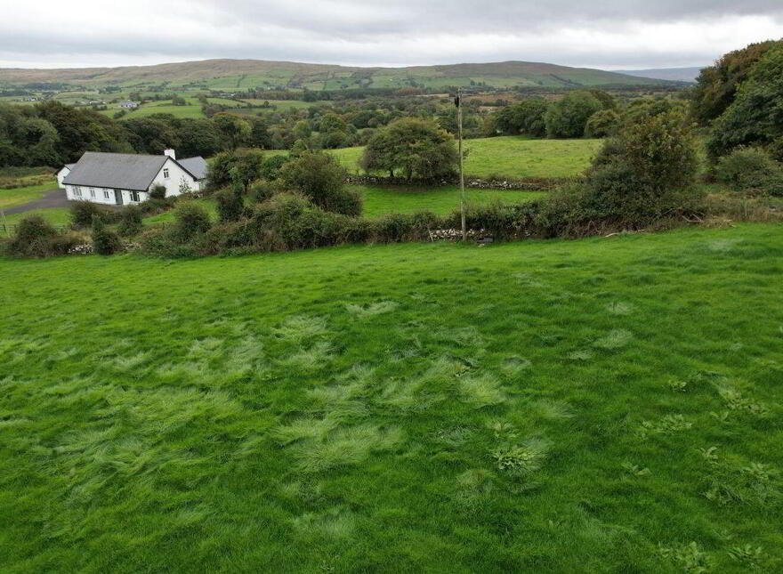 Lankhill, Westport