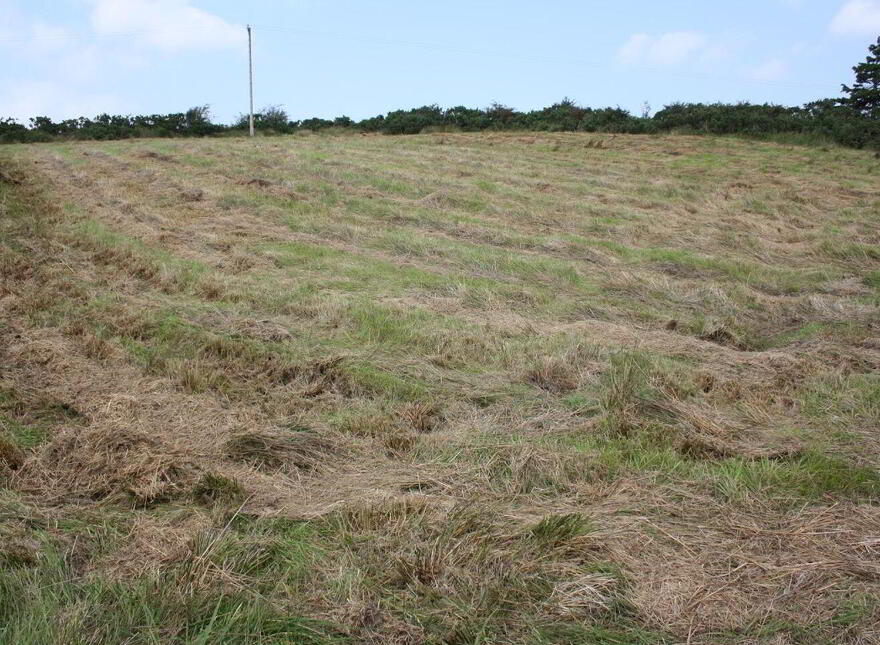 Slinaunroe, Clogher, Westport