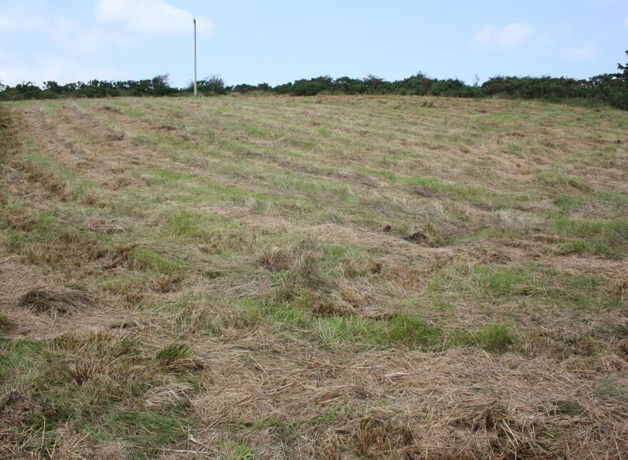 Slinaunroe, Clogher, Westport