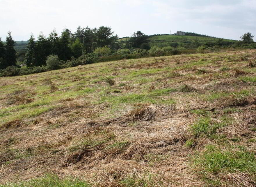 Slinaunroe, Clogher, Westport