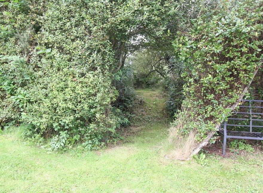 Derrycontoort East, Newport, Newport, F28PW50