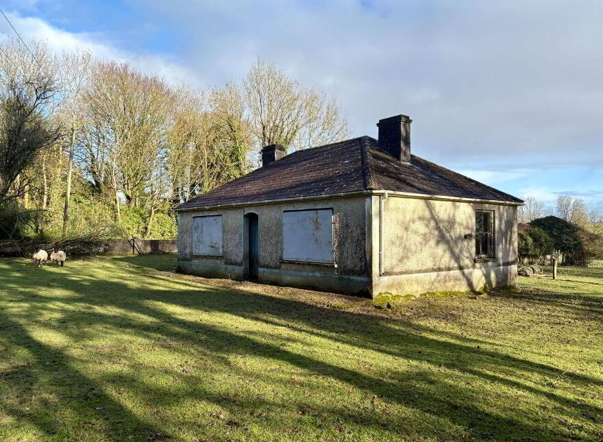 Violet Hill, Ballymurray, F42FV40