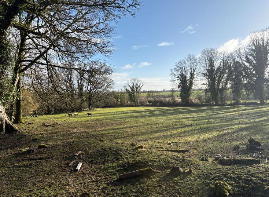 Violet Hill, Ballymurray, F42FV40