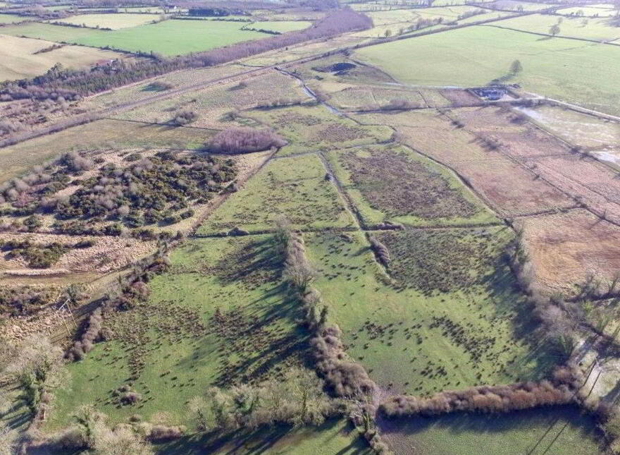 Violet Hill, Ballymurray, F42FV40