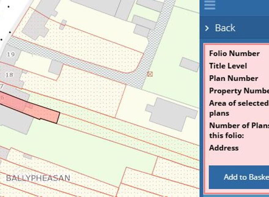 16 Abbey Street, Roscommon Town, F42X450