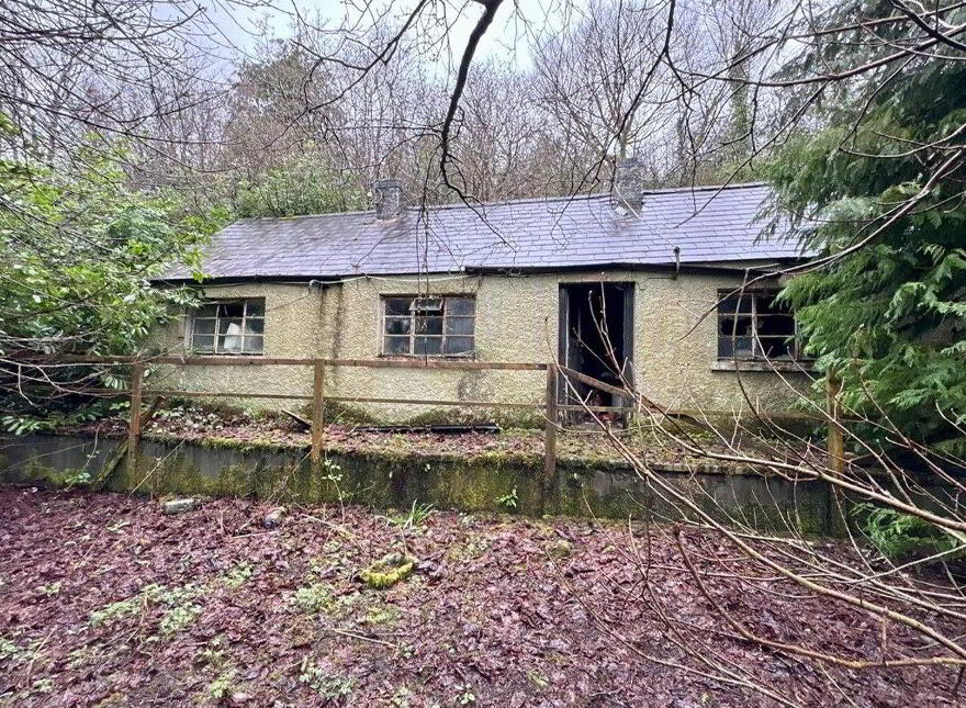 Stonepark, Ballinlough photo
