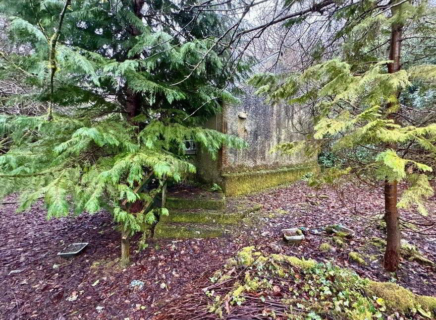 Stonepark, Ballinlough