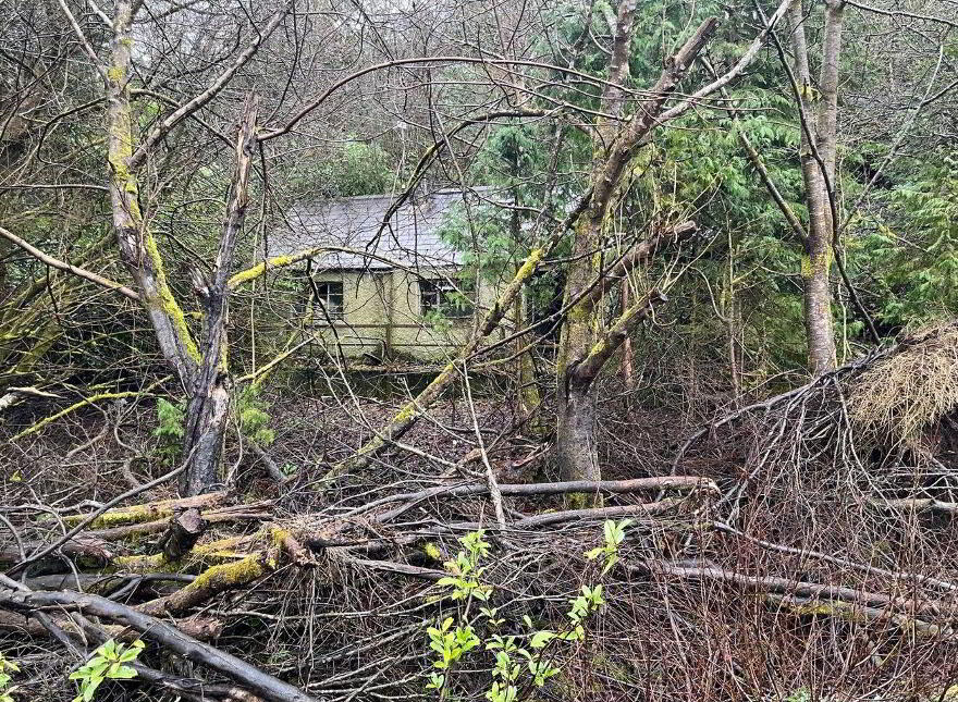 Stonepark, Ballinlough