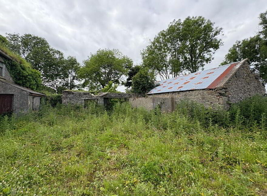 Ardeevin, Castleplunkett