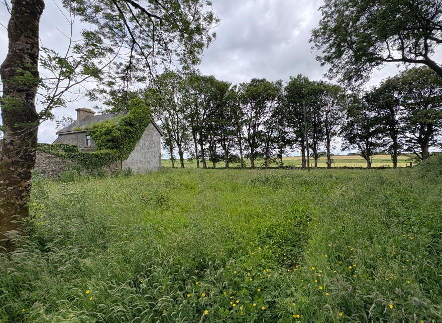 Ardeevin, Castleplunkett