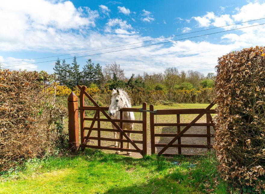Rathglasson, Silliothill, Kilcullen, R56A402