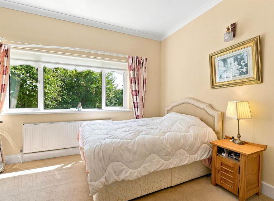 The Willows, Daars, Sallins, W91F5Y4