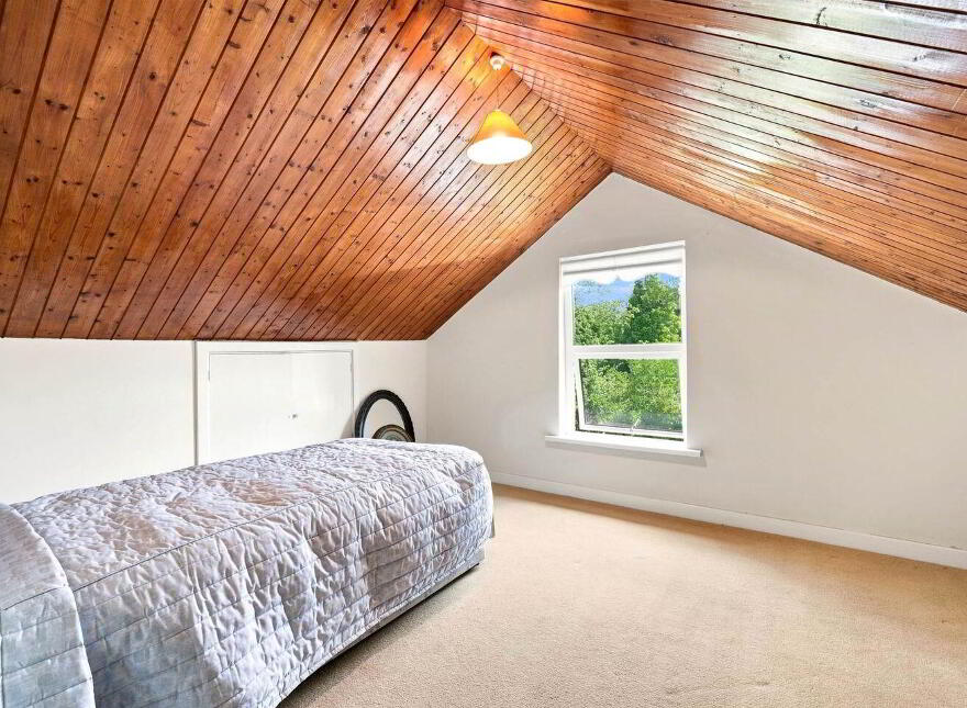 The Willows, Daars, Sallins, W91F5Y4