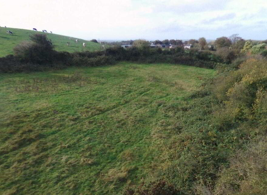 Creggaun, Knockanean, Ennis photo
